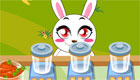  jeux de serveuse : Les lapins ouvrent un snack